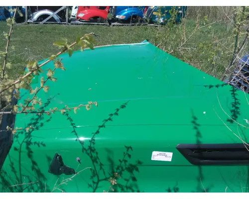 FREIGHTLINER CASCADIA 126 HOOD