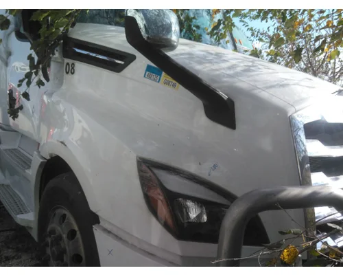 FREIGHTLINER CASCADIA 126 HOOD