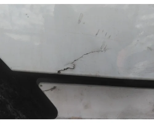 FREIGHTLINER CASCADIA 126 HOOD