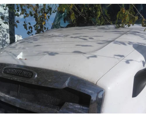 FREIGHTLINER CASCADIA 126 HOOD