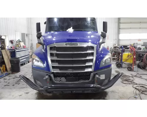 FREIGHTLINER CASCADIA 126 HOOD