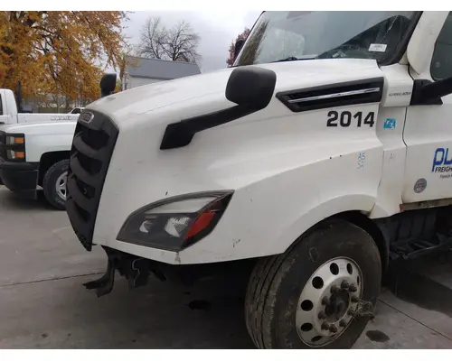 FREIGHTLINER CASCADIA 126 HOOD