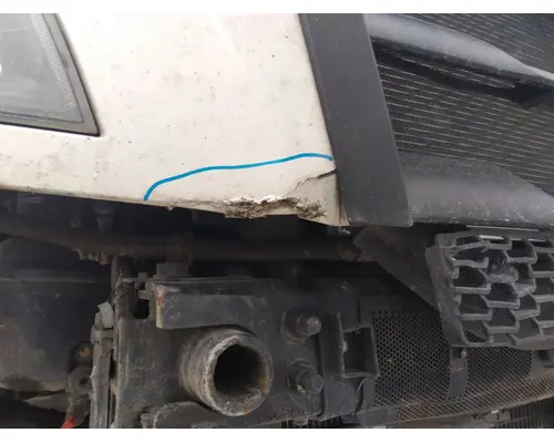 FREIGHTLINER CASCADIA 126 HOOD