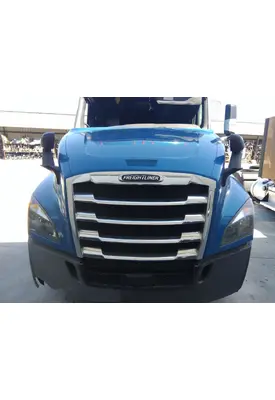 FREIGHTLINER CASCADIA 126 HOOD
