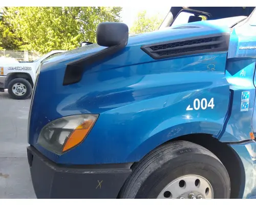 FREIGHTLINER CASCADIA 126 HOOD