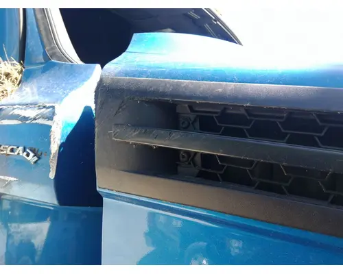FREIGHTLINER CASCADIA 126 HOOD