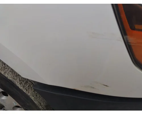 FREIGHTLINER CASCADIA 126 HOOD