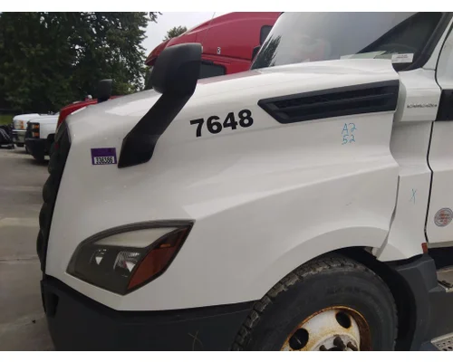 FREIGHTLINER CASCADIA 126 HOOD