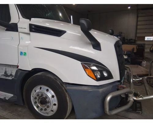 FREIGHTLINER CASCADIA 126 HOOD