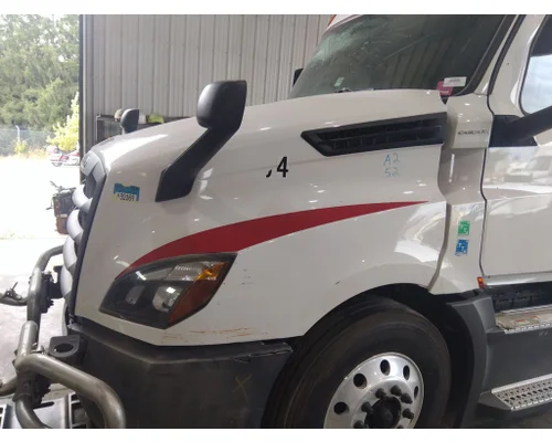 FREIGHTLINER CASCADIA 126 HOOD