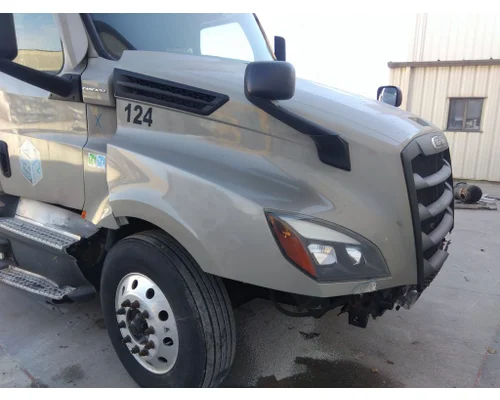 FREIGHTLINER CASCADIA 126 HOOD