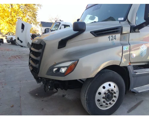 FREIGHTLINER CASCADIA 126 HOOD