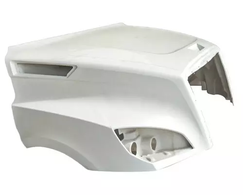 FREIGHTLINER CASCADIA 126 HOOD