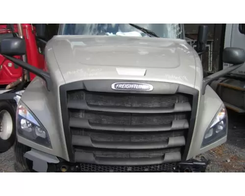 FREIGHTLINER CASCADIA 126 HOOD