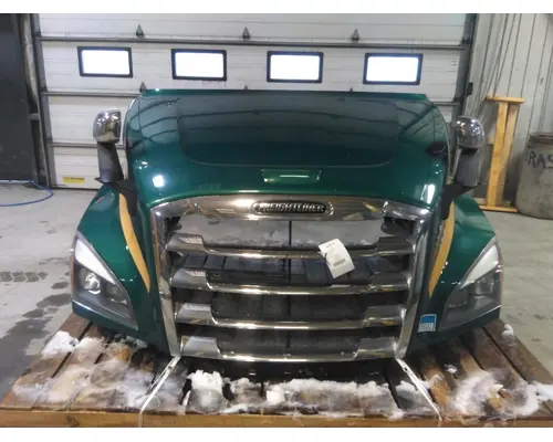 FREIGHTLINER CASCADIA 126 HOOD