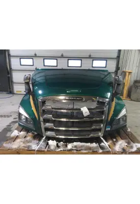 FREIGHTLINER CASCADIA 126 HOOD