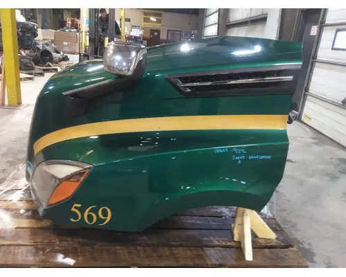 FREIGHTLINER CASCADIA 126 HOOD