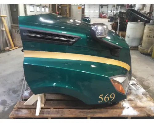 FREIGHTLINER CASCADIA 126 HOOD