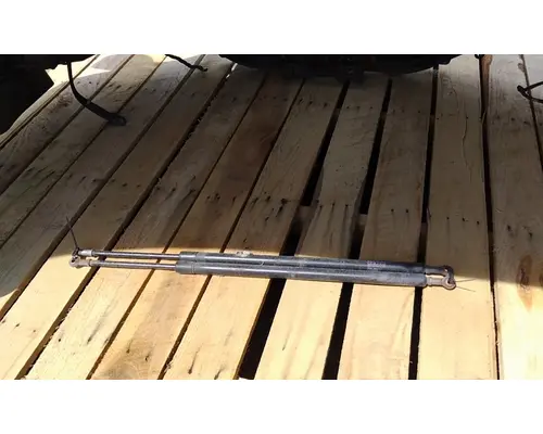 FREIGHTLINER CASCADIA 126 HOOD