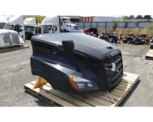 FREIGHTLINER CASCADIA 126 HOOD