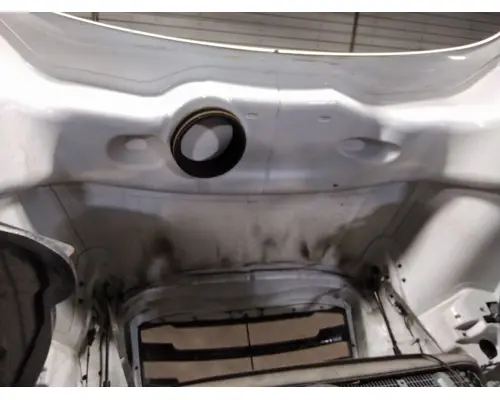 FREIGHTLINER CASCADIA 126 HOOD