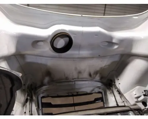 FREIGHTLINER CASCADIA 126 HOOD