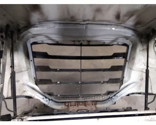 FREIGHTLINER CASCADIA 126 HOOD