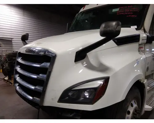 FREIGHTLINER CASCADIA 126 HOOD
