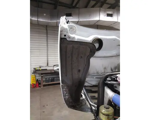 FREIGHTLINER CASCADIA 126 HOOD