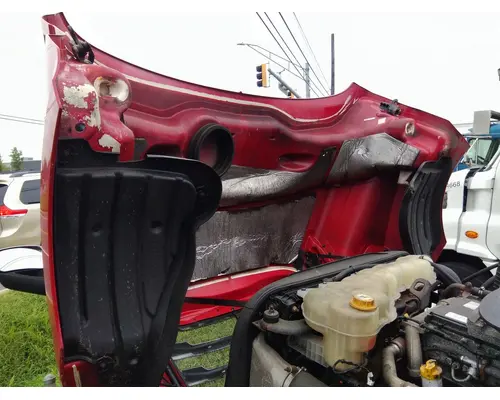FREIGHTLINER CASCADIA 126 HOOD