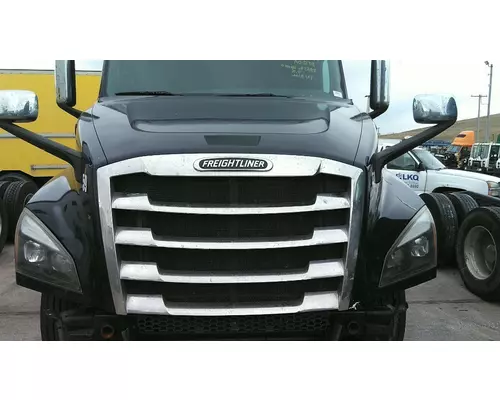 FREIGHTLINER CASCADIA 126 HOOD