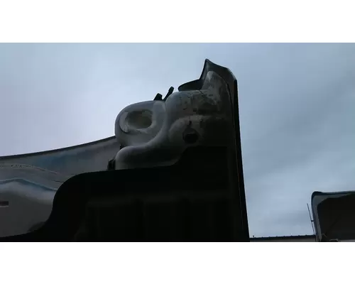 FREIGHTLINER CASCADIA 126 HOOD