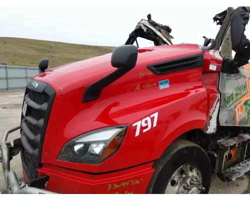 FREIGHTLINER CASCADIA 126 HOOD