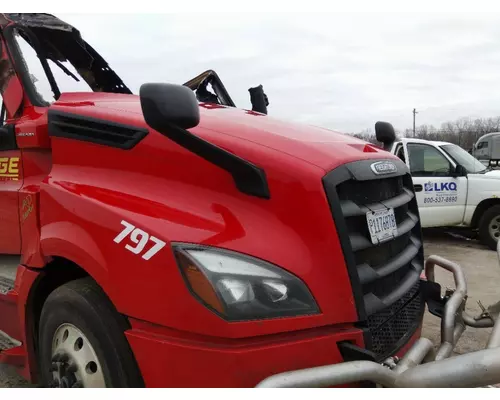 FREIGHTLINER CASCADIA 126 HOOD