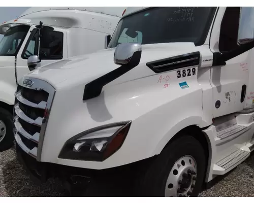 FREIGHTLINER CASCADIA 126 HOOD