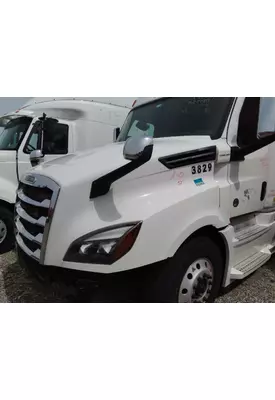 FREIGHTLINER CASCADIA 126 HOOD