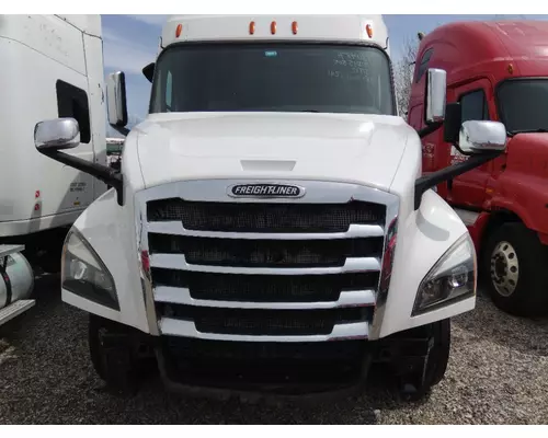 FREIGHTLINER CASCADIA 126 HOOD