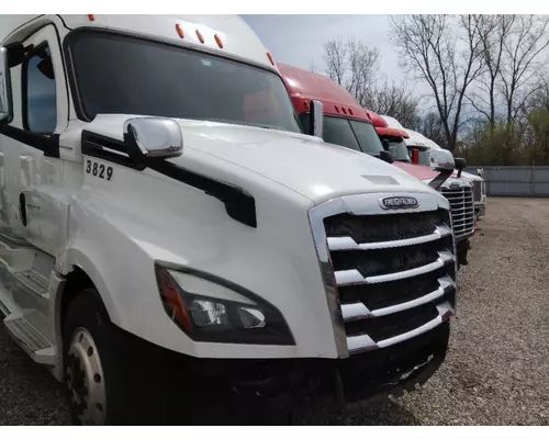 FREIGHTLINER CASCADIA 126 HOOD