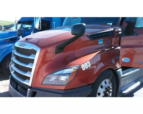 FREIGHTLINER CASCADIA 126 HOOD