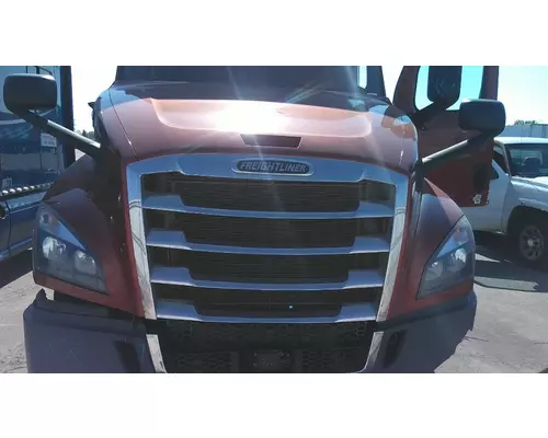 FREIGHTLINER CASCADIA 126 HOOD