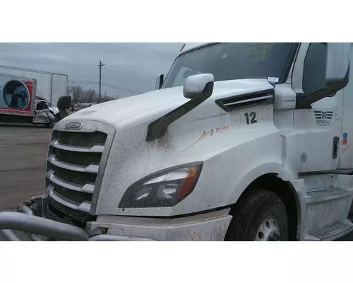 FREIGHTLINER CASCADIA 126 HOOD