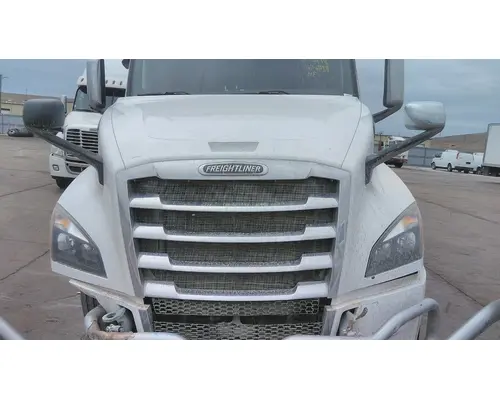 FREIGHTLINER CASCADIA 126 HOOD