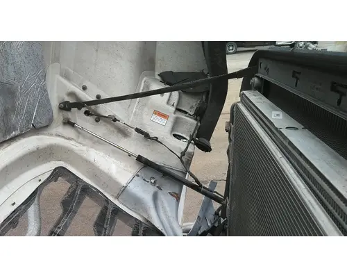 FREIGHTLINER CASCADIA 126 HOOD