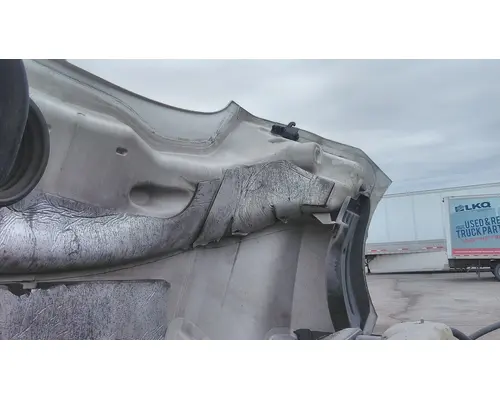 FREIGHTLINER CASCADIA 126 HOOD