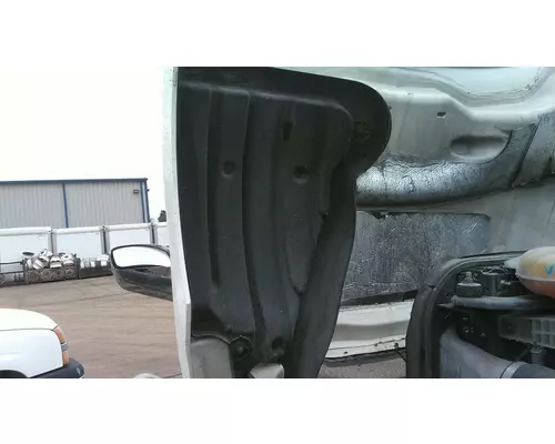 FREIGHTLINER CASCADIA 126 HOOD