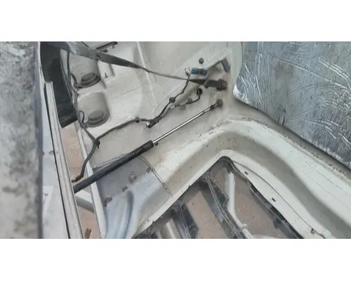 FREIGHTLINER CASCADIA 126 HOOD