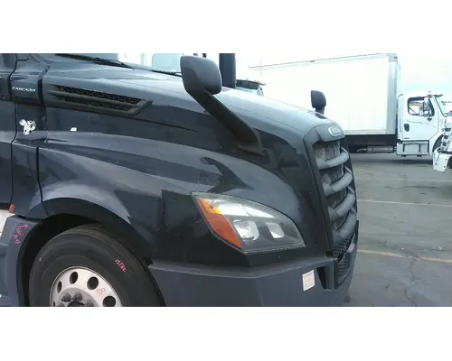 FREIGHTLINER CASCADIA 126 HOOD