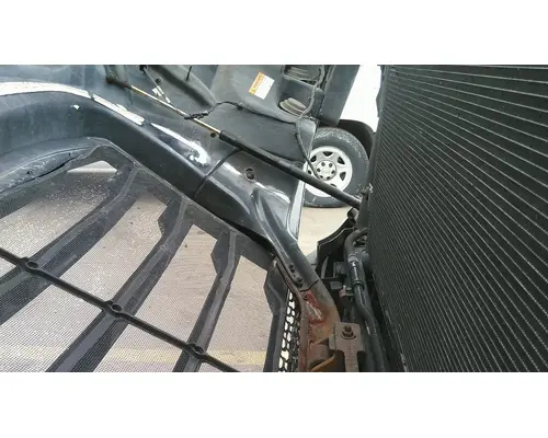 FREIGHTLINER CASCADIA 126 HOOD