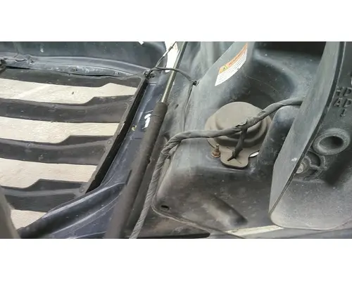 FREIGHTLINER CASCADIA 126 HOOD