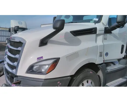 FREIGHTLINER CASCADIA 126 HOOD